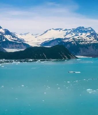 На озере Алсек в Национальном парке Глейшер-Бэй на Аляске образовался новый зеленый остров